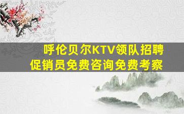 呼伦贝尔KTV领队招聘促销员免费咨询免费考察